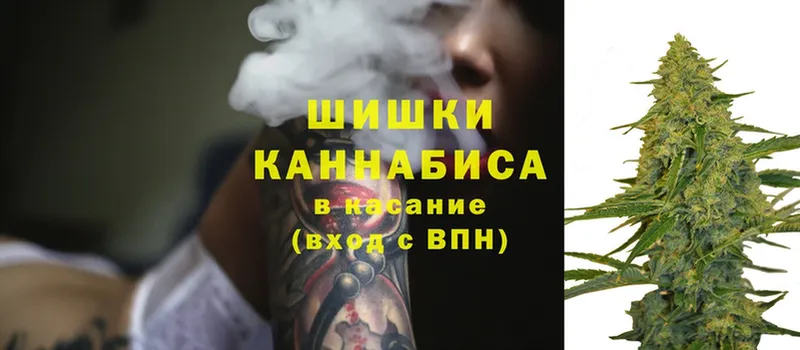 Бошки марихуана White Widow  Камызяк 